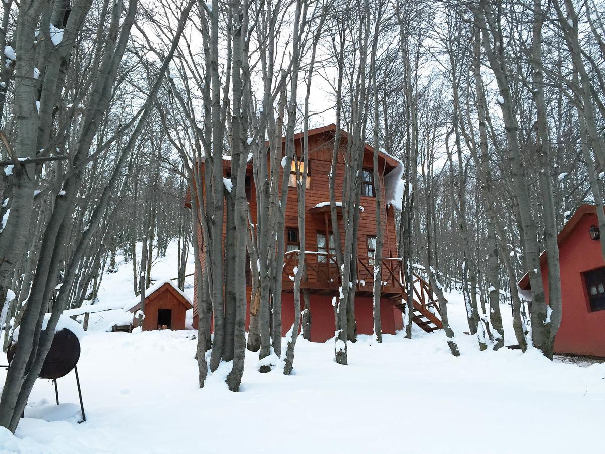 Cabanas Bosque Del Faldeo 우수아이아 외부 사진