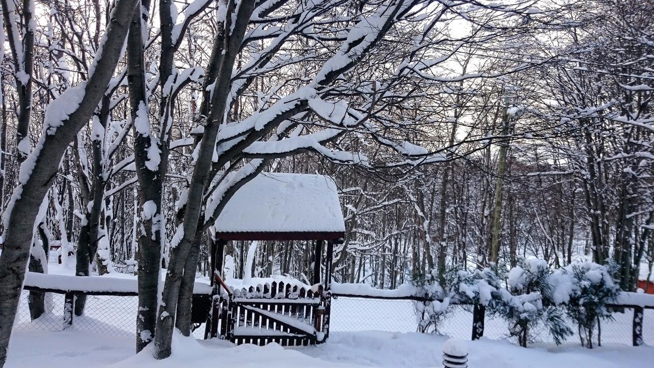 Cabanas Bosque Del Faldeo 우수아이아 외부 사진